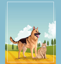 Dog And Cat Mascots Domestics In Field