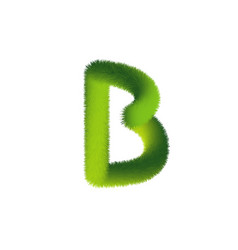 Letter B Furry Font Made Fir Branches