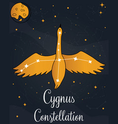 Constellation Cygnus Star In The Night Sky