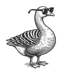 Goose Wearing Sunglasses Engraving Sketch