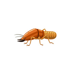 Termite Icon Pest Control Insects Disinsection