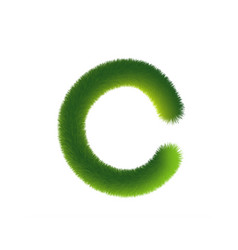 Letter C Furry Font Made Fir Branches