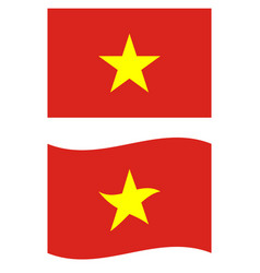 Flag Of Vietnam National