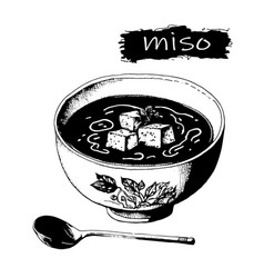 Hand Drawn Miso Soup Japanese Food