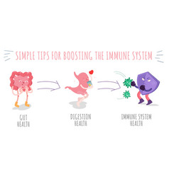 Simple Tips For Boosting Immune System