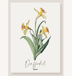 Daffodil March Birth Month Flower Wall Art Poster