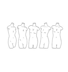 Hand Drawn Of Female Table Top Mannequin