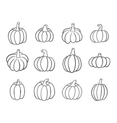 Pumpkin Clipart Design Isolated On White