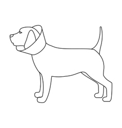 Dog With Elizabethan Collar Icon In Outline Style