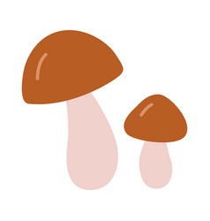 Penny Bun Mushrooms Cartoon Style Isolated