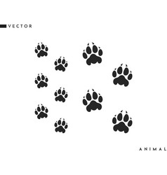 Panther Paw Print