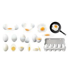 Set Of Whole Half Sliced And Broken Eggs Raw