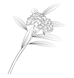 Minimilis Carnation Flower Black Tattoo Designs