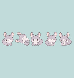 Collection Of Cartoon Baby Chinchilla Art