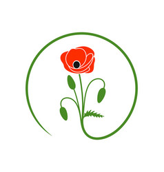 Poppy Flower