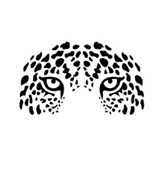 Jaguar Eyes Image