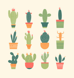 Collection Of Various Cacti In Colorful Pots