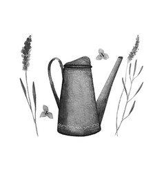 Garden Watering Can And Lavender Monochrome