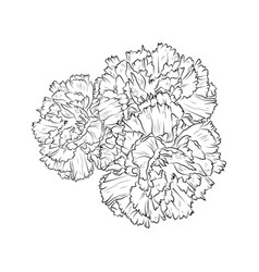 Minimilis Carnation January Flower Tattoo Design