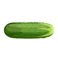 Cucumber Food Cartoon