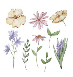 Watercolor Set Of Garden Flowers