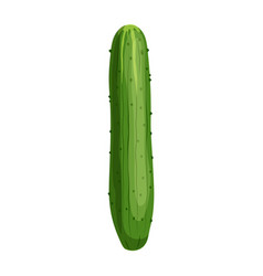 Cucumber Food Cartoon