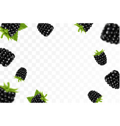 Blackberry Background Flying