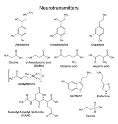 Basic Neurotransmitters