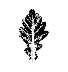 Black Imprint Of Oak Leaf