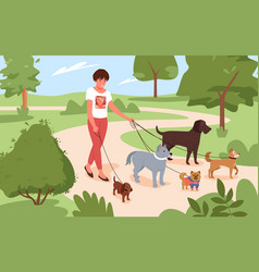 Woman Walking With Many Dogs Breeds Together