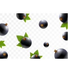 Black Currant Or Blackberry Background Flying