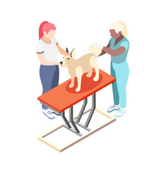 Isometric Vet