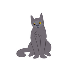 Flat Gray Cat