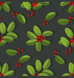 Holly Branch Red Berries Background