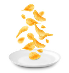 Potato Chips Falling In White Ceramic Plate