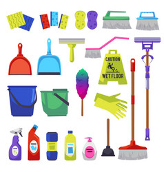 Cleaning Products And Tools Set Flat