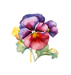 Pansy Flower Clipart With Isolated