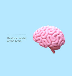 Realistic Model Of Brain Outside View 3d Pink