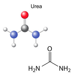 Urea Molecule