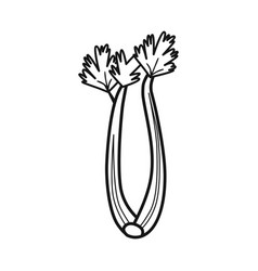 Design Of Celery And Bunch Symbol Web