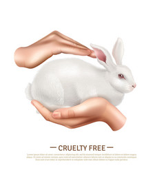 Cruelty Free Design Concept