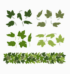 Ivy Leaves And Green Liana Border Isolated