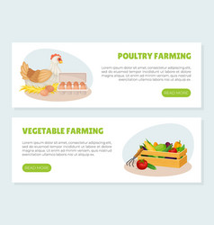 Agriculture And Farming Web Vertical Banner Design