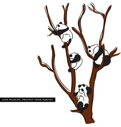 Panda On Tree Love And Protect Wildlife