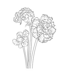 Birth Flower Minimalist Carnation Tattoo Simple