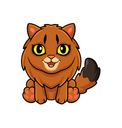 Cute Somali Cat Cartoon Sitting