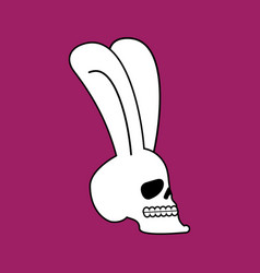 Rabbit Skull White Bunny With Skeleton Head