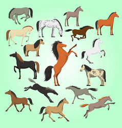 Best Horse Breeds Pictures Icons Set