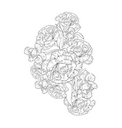 Pencil Sketch Carnation Drawing Tattoo Design