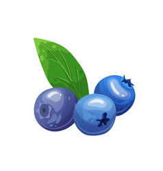 Blueberry Fruit Cartoon